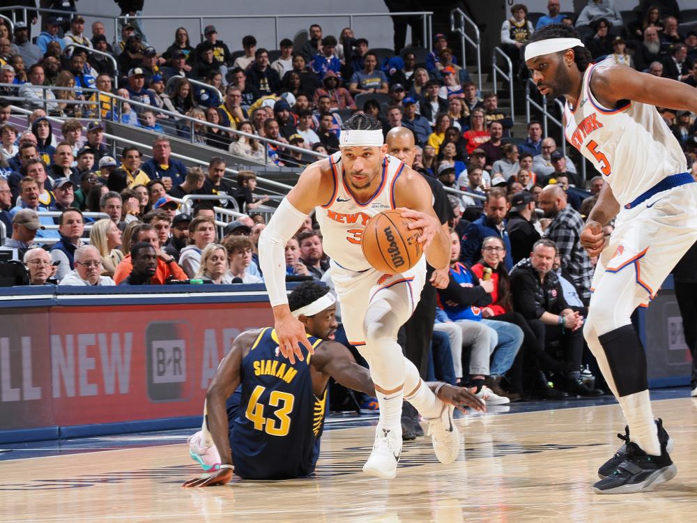 揭示了森林 揭示了森林