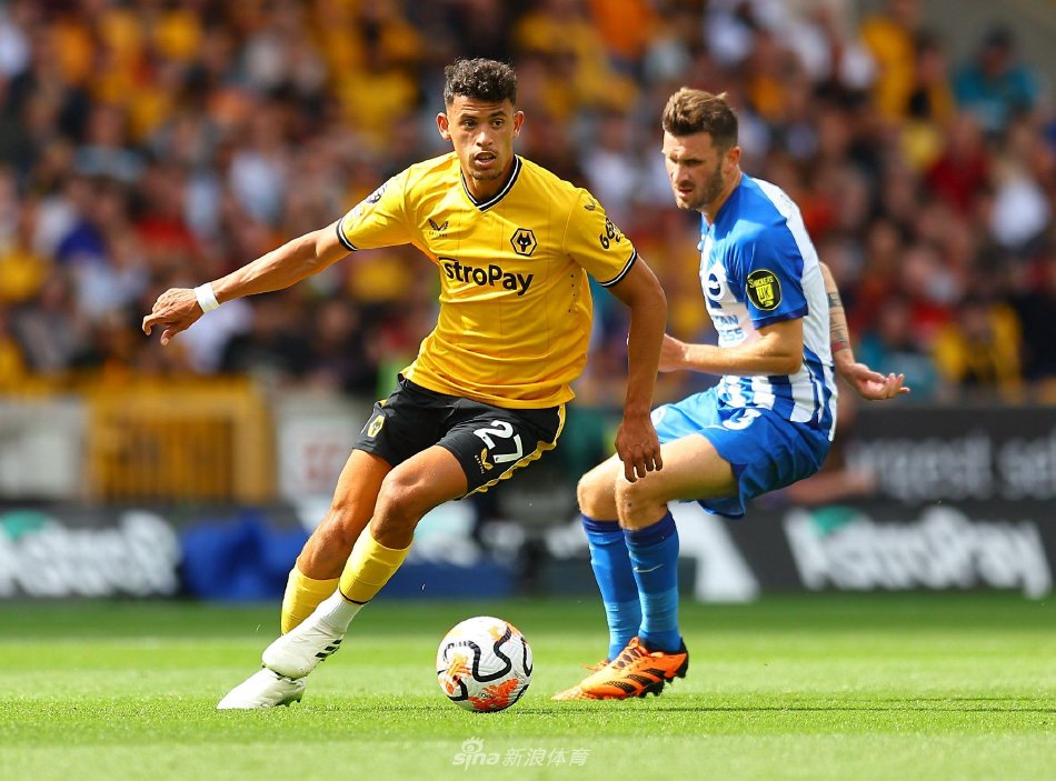 无论是在赛 无论是在赛