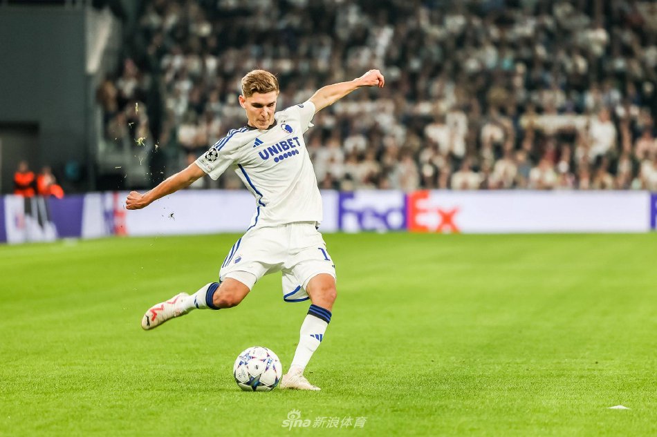 总体展望 总体展望